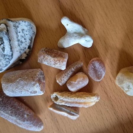 Ferienwohnung-Wildblume Petersdorf auf Fehmarn Luaran gambar