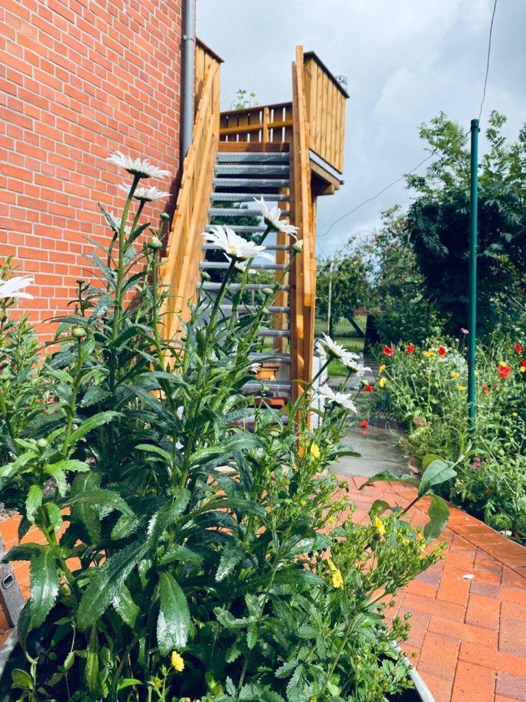 Ferienwohnung-Wildblume Petersdorf auf Fehmarn Luaran gambar
